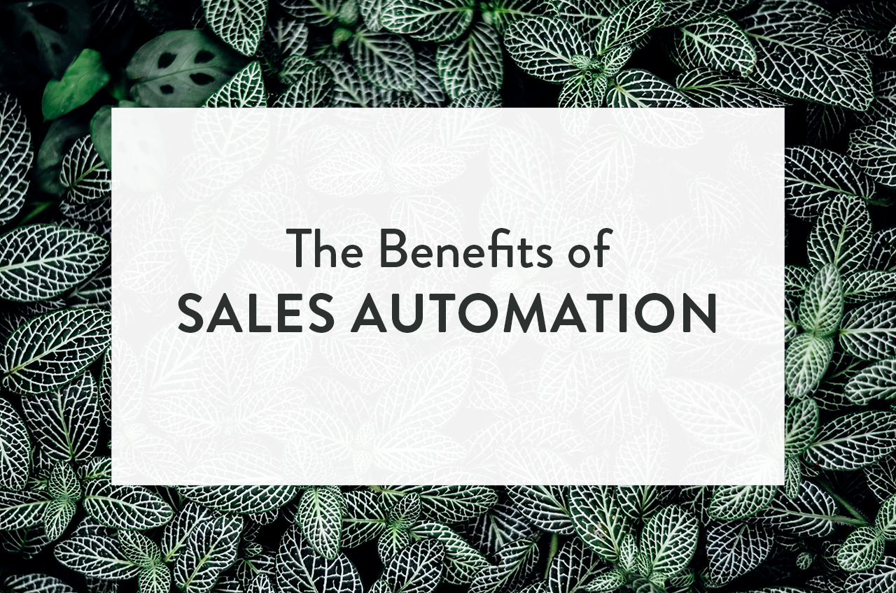 5-reasons-sales-automation-is-so-important-for-small-business